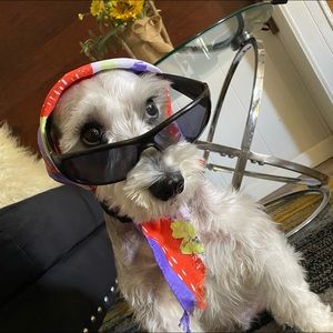 Meet your Posher, Lil